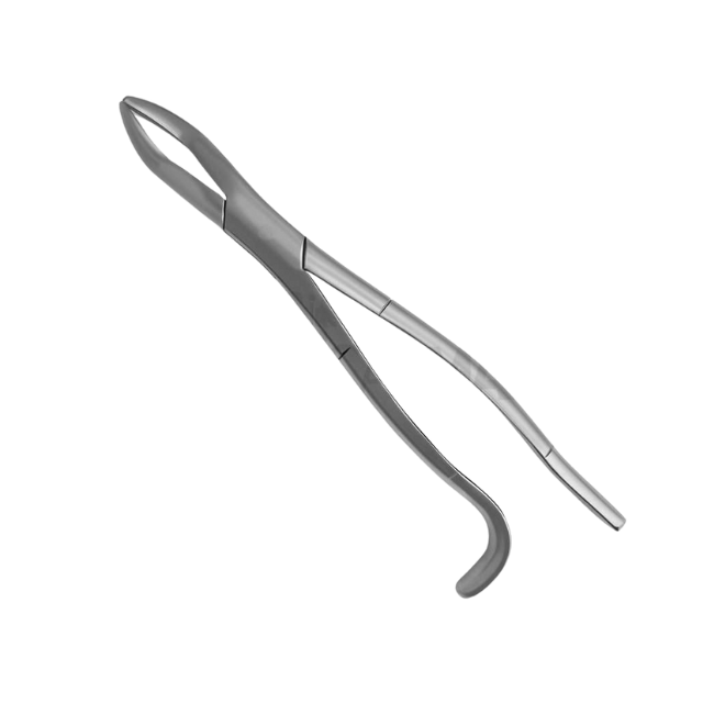 Equine Dental Wolf Tooth Extracting Forceps 11