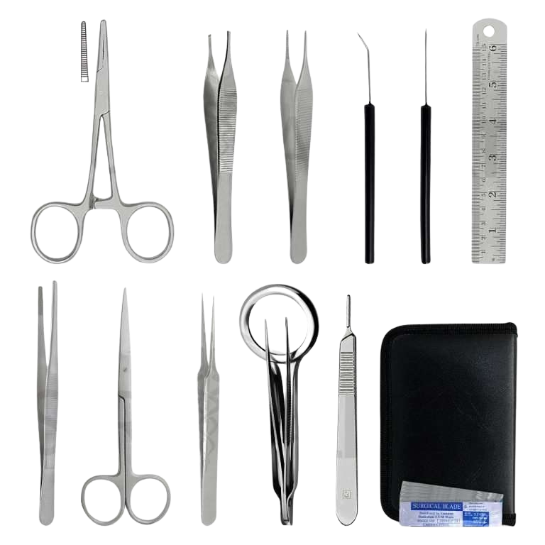15 Pcs Birds Dissection Kit